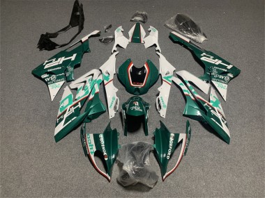 2017-2018 BMW S1000RR Motorcycle Fairings - White Green UK