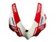 2015-2020 Ducati 959/1299 Motorcycle Fairings - White Red Green Valsir Fiamm 7 UK