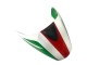 2008-2012 Ducati Monster 696 796 1100 1100S Motorcycle Fairing - White Red Green UK