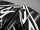 2004-2005 Kawasaki ZX10R Motorcycle Fairings - Black White UK