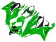 2019-2022 Kawasaki ZX6R Motorcycle Fairings - Green UK