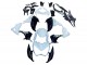 2013-2018 Kawasaki Z800 Motorcycle Fairings - White Glossy Black Green UK