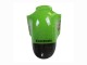 2002-2006 Kawasaki ZX12R Motorcycle Fairing - Green Glossy Black Elf Touch4 Monster UK