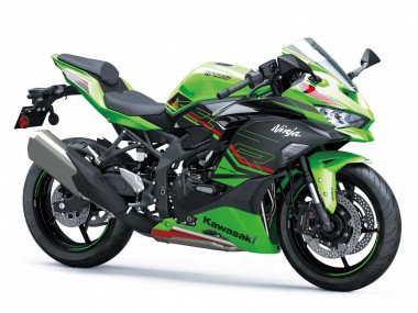 2019-2025 Kawasaki ZX4R ZX-4RR Motorcycle Fairings - Green Black Red White UK